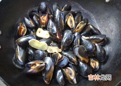 海虹是什么东西,海虹是什么东西