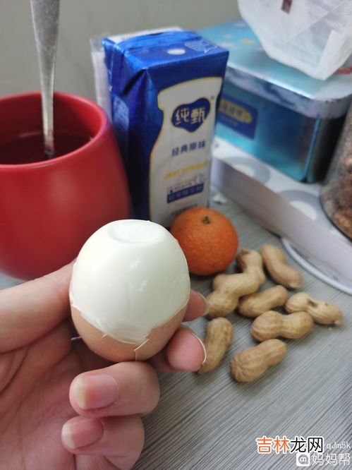 为什么要吃果蔬谷物蛋白粉,蛋白粉的功效与作用有哪些?每天可以吃多少