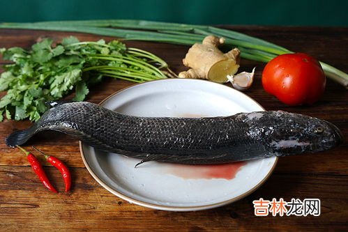 黑鱼怎么洗干净粘液,黑鱼太黏了怎么办 黑鱼太黏了如何解决