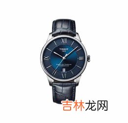 天梭1853表带是多少mm的,这表带应该配什么尺寸?