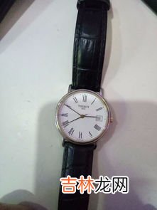 天梭1853表带是多少mm的,这表带应该配什么尺寸?