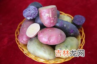 土豆的形状颜色大小和味道,怎么挑选土豆比较好