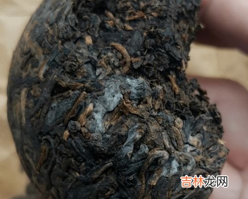 普洱茶发霉了还能喝吗,普洱茶霉了能喝吗 普洱茶怎么存放好