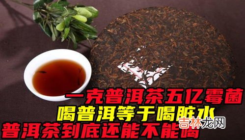 普洱茶发霉了还能喝吗,普洱茶霉了能喝吗 普洱茶怎么存放好