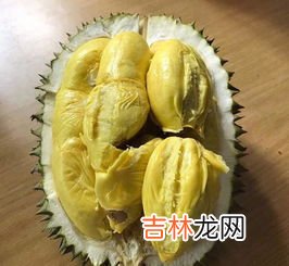 榴莲是香还是臭,榴莲是什么味道