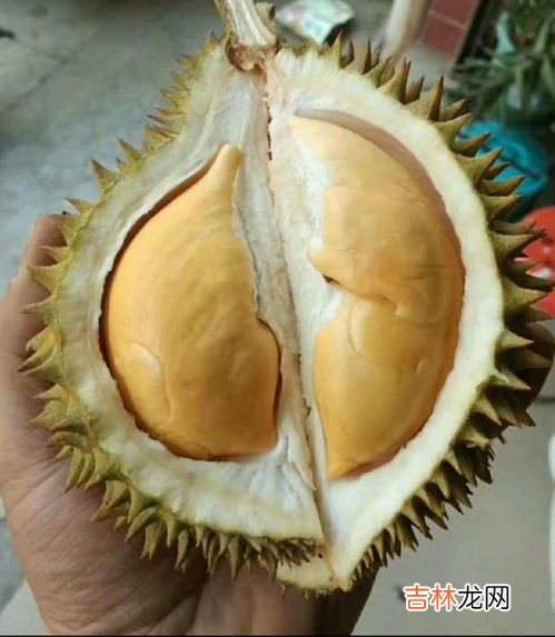 榴莲是香还是臭,榴莲是什么味道