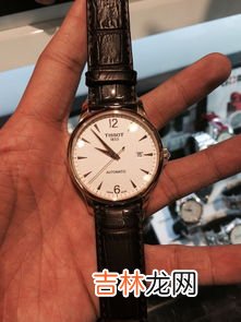 天梭手表型号在哪里看,天梭力洛克型号在表的那个位置