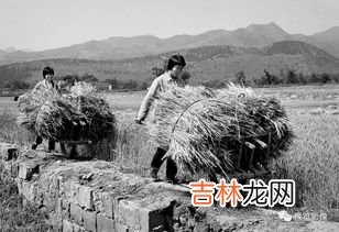 淮南虫生活的地质年代,石英,长石土质需要破碎吗为什么呢