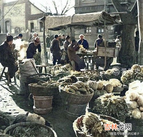 淮南虫生活的地质年代,石英,长石土质需要破碎吗为什么呢