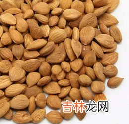 开心果为什么叫开心果,开心果名字的由来