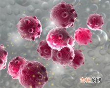 北方基因小分子肽的成分,小分子肽的原料都是什么？