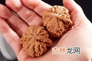 狮子头核桃品牌排行榜,文玩核桃排名前十名品种