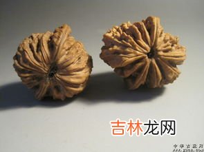 狮子头核桃品牌排行榜,文玩核桃排名前十名品种