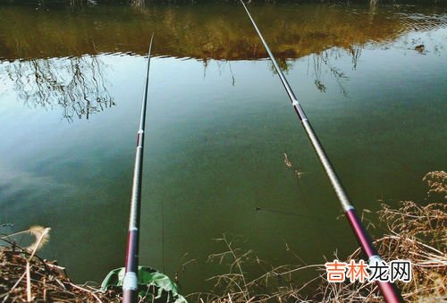 钓鱼什么梗,网络说的钓鱼是什么梗 网上说的钓鱼是什么意思