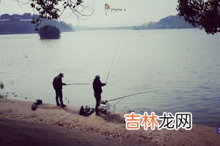 钓鱼什么梗,网络说的钓鱼是什么梗 网上说的钓鱼是什么意思