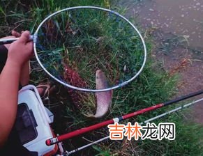 钓鱼什么梗,网络说的钓鱼是什么梗 网上说的钓鱼是什么意思