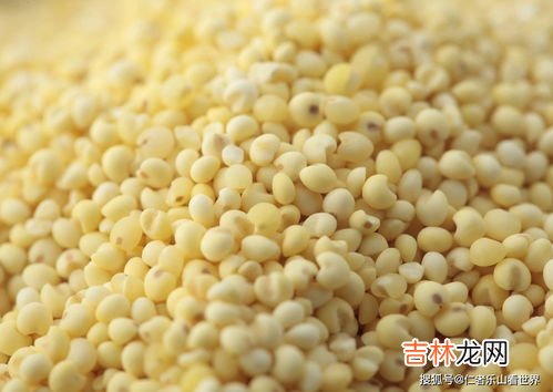女儿红是白酒还是黄酒,女儿红是白酒还是黄酒?