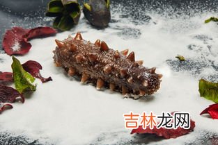 海参是海鲜类吗,海参是海鲜吗?