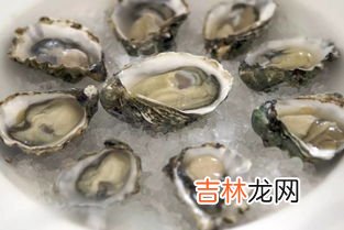 生蚝和海蛎子的区别,海蛎子和生蚝的区别是什么？