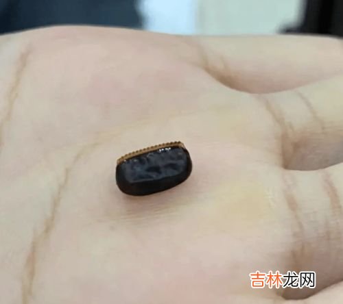 小黑点是不是蟑螂卵,小黑点是蟑螂卵吗