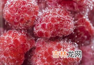 蔓越莓片的副作用,纽乐蔓越莓胶囊副作用