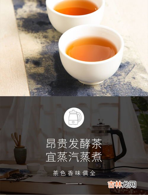 蒸茶器一般蒸什么茶,什么茶适合蒸着喝