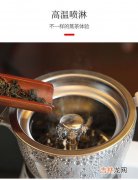 蒸茶器一般蒸什么茶,什么茶适合蒸着喝