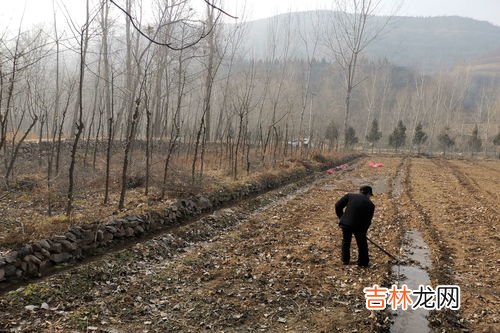 2亩地算很大吗,二亩地到底有多大?长 宽都等于多少米?