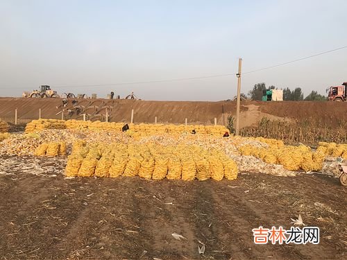 2亩地算很大吗,二亩地到底有多大?长 宽都等于多少米?