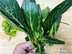 菜心开花了还能吃吗,菜心开花了还能吃吗