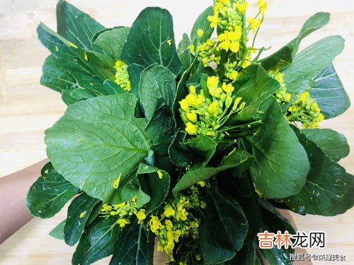 菜心开花了还能吃吗,菜心开花了还能吃吗