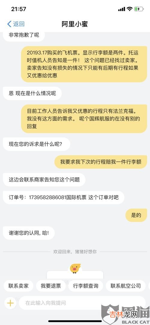 行李额是什么意思,机票上说没有免费行李额什么意思