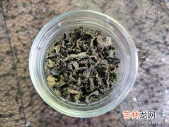 薄荷叶怎么保存,薄荷怎么储存 薄荷保存方法