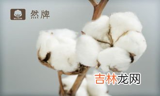 准确 棉花的密度,棉花的密度是多少?