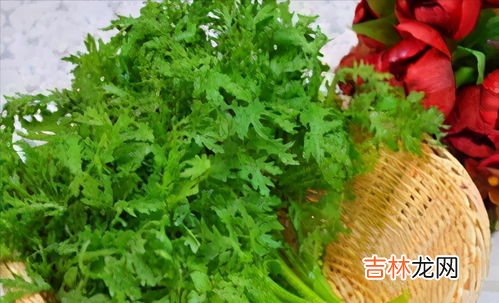 茼蒿和藜蒿是一样的吗,芦蒿和茼蒿有什么区别