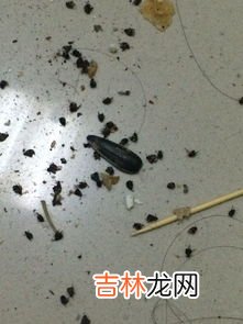 家里有蜈蚣怎么消灭,用什么办法才能杀死家里的蜈蚣？