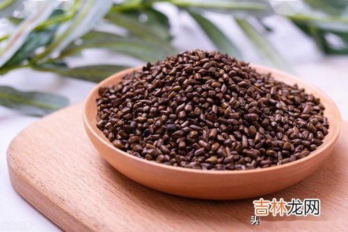 制南星的功效与作用,制南星有什么功效?