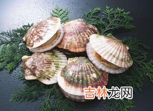 扇贝肉上一坨黑色是屎吗,扇贝里面的黑色东西能吃吗