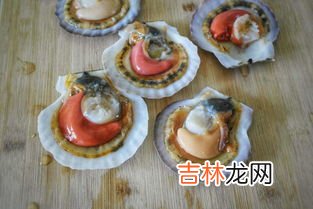 扇贝肉上一坨黑色是屎吗,扇贝里面的黑色东西能吃吗