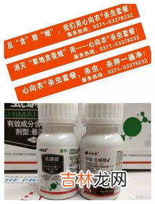 芝宁多糖治疗失眠怎么样,体恒健芝宁多糖对失眠管用吗？