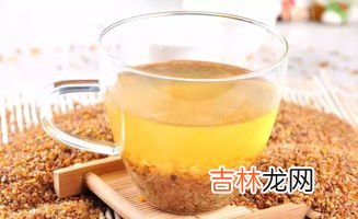 苦荞茶可以天天喝吗,苦荞茶可以长期喝吗