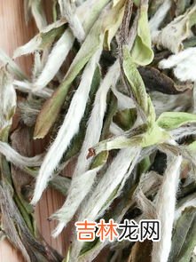 蒜苔是凉性还是热性,哪些蔬菜属于温性？