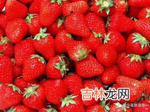 草莓怎么保存不容易坏,草莓要怎么放才不会坏? 不管放哪都是一晚上就坏么?