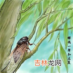 立夏过后是夏天吗,立夏过后是夏天了吗 立夏过后是不是夏天了