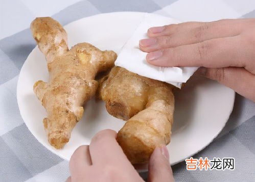 茧蛹怎么保存,蚕蛹怎么保存
