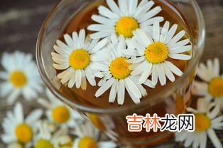 菊厂指的是什么,华为再招201万元年薪“天才少年”,公司未来的发展前景如何?