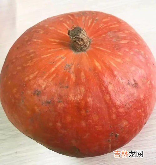 长南瓜和圆南瓜的区别,和南瓜相似度百分之九十一的瓜是什么瓜？