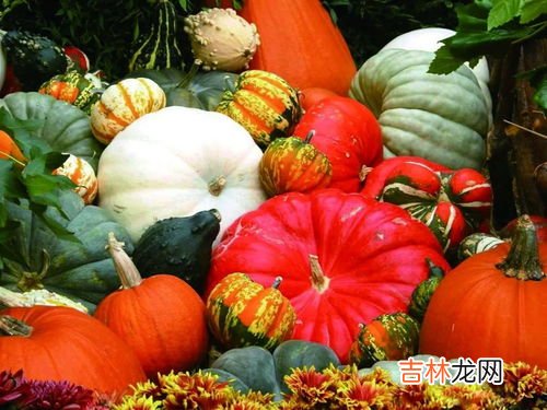 长南瓜和圆南瓜的区别,和南瓜相似度百分之九十一的瓜是什么瓜？