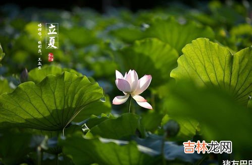 立夏寓意是啥,立夏节气的寓意和传统是什么？