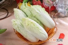 白菜属于什么科,白菜归属于什么科